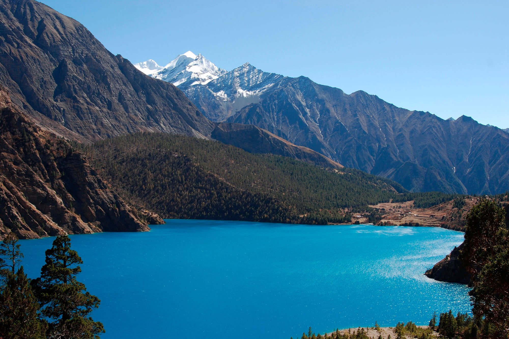 Shey Phoksundo Lake A Complete Guide To Trekking And Travel Alpine