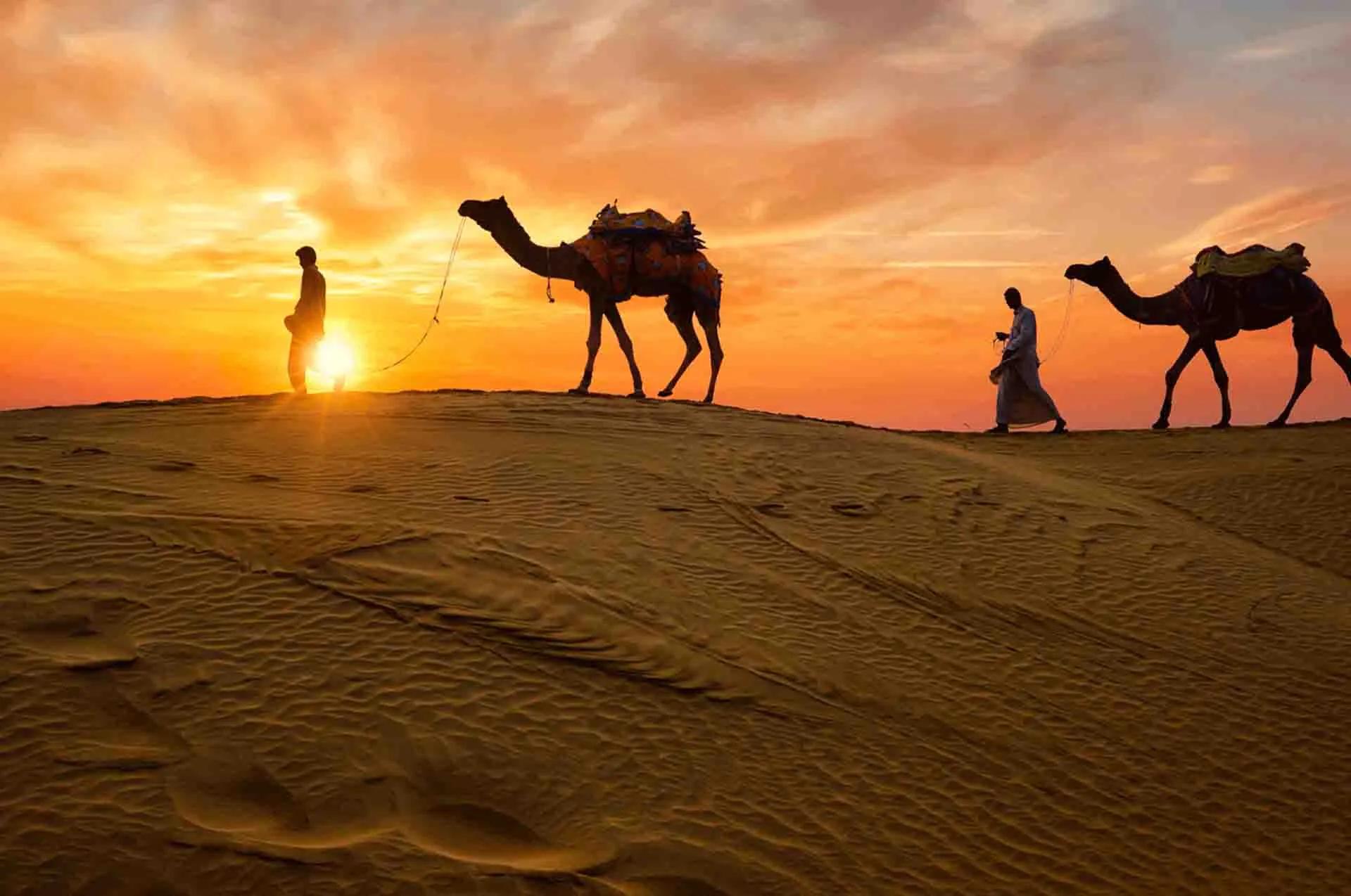 rajasthan_oddhtd