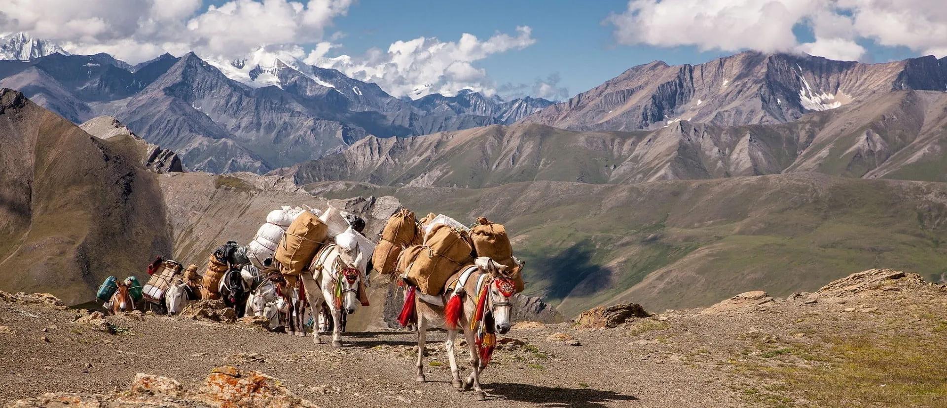 langtang-trek-1_mmjeta