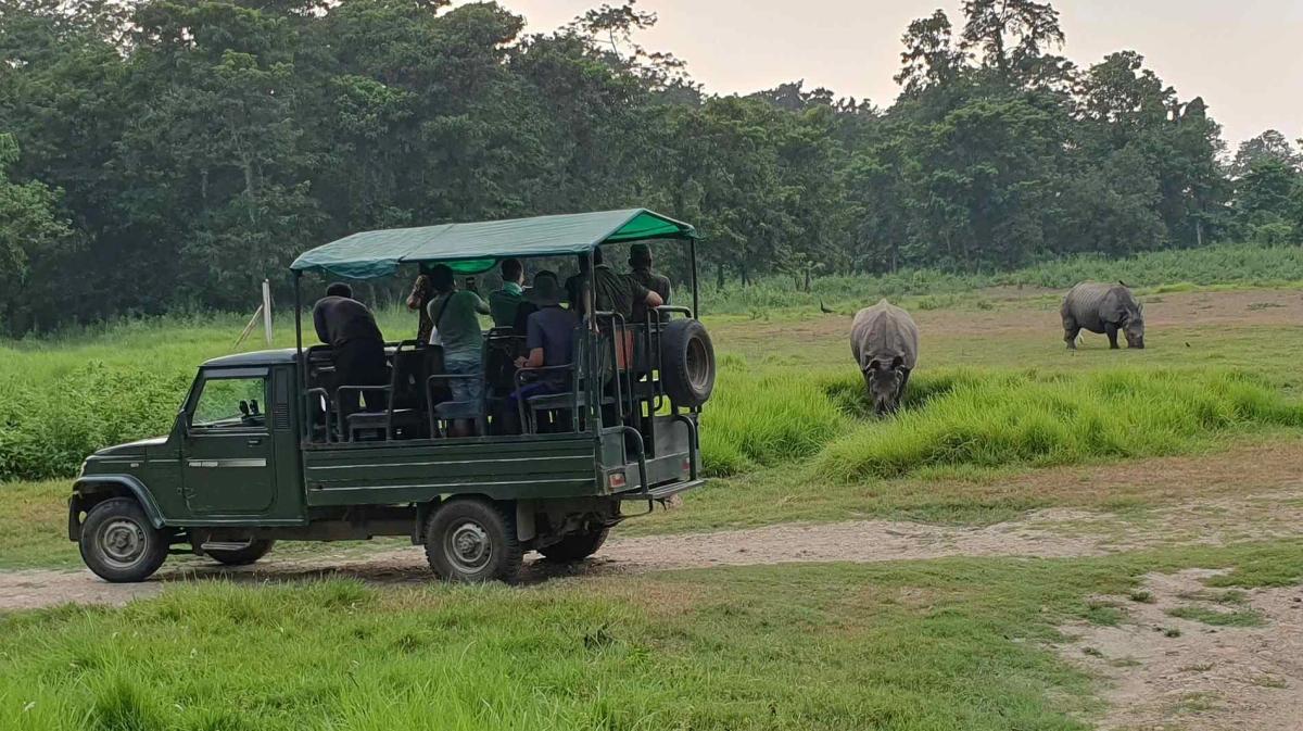 jeep-safari_t2dqa1