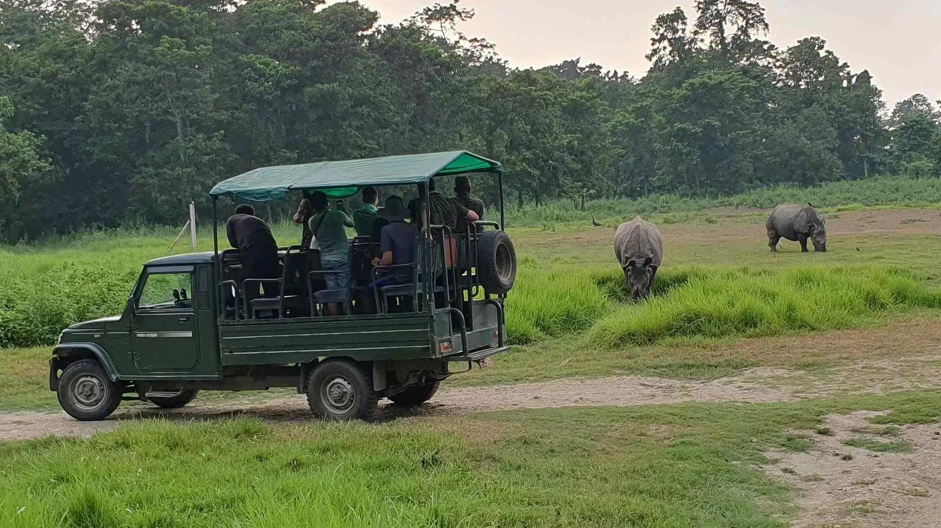 jeep-safari_t2dqa1