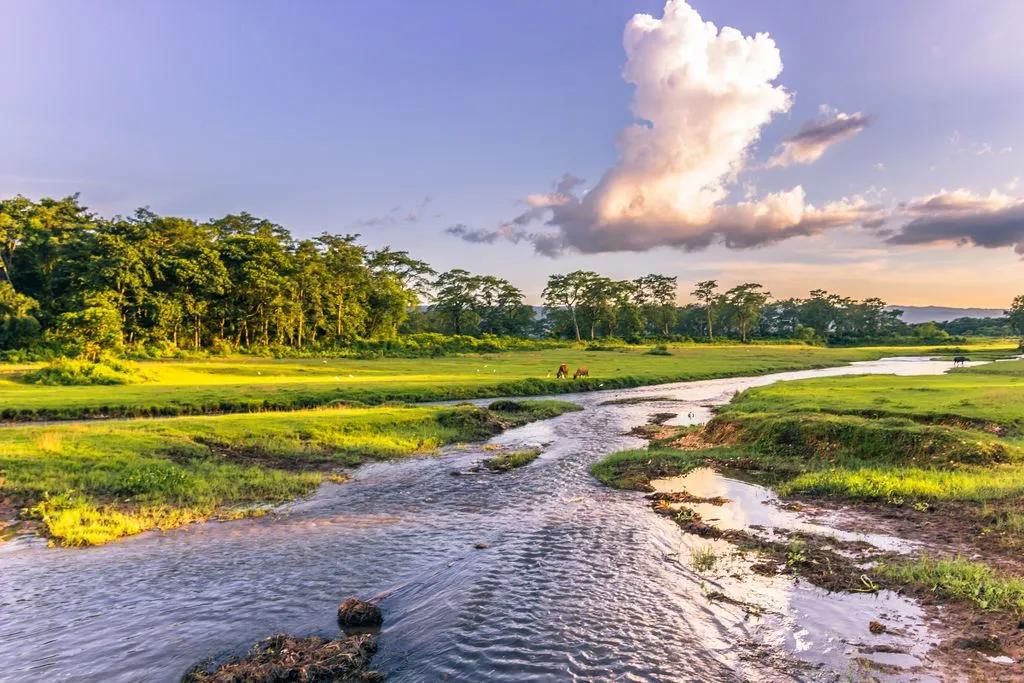 chitwan-1_v7haew