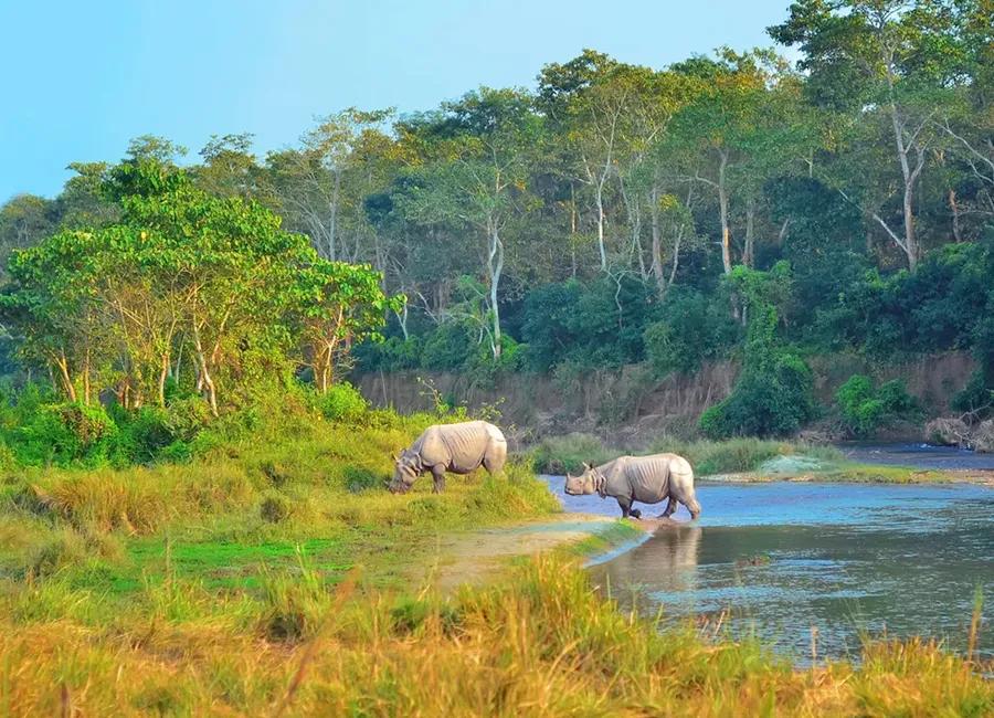chitwan-2_epazqe