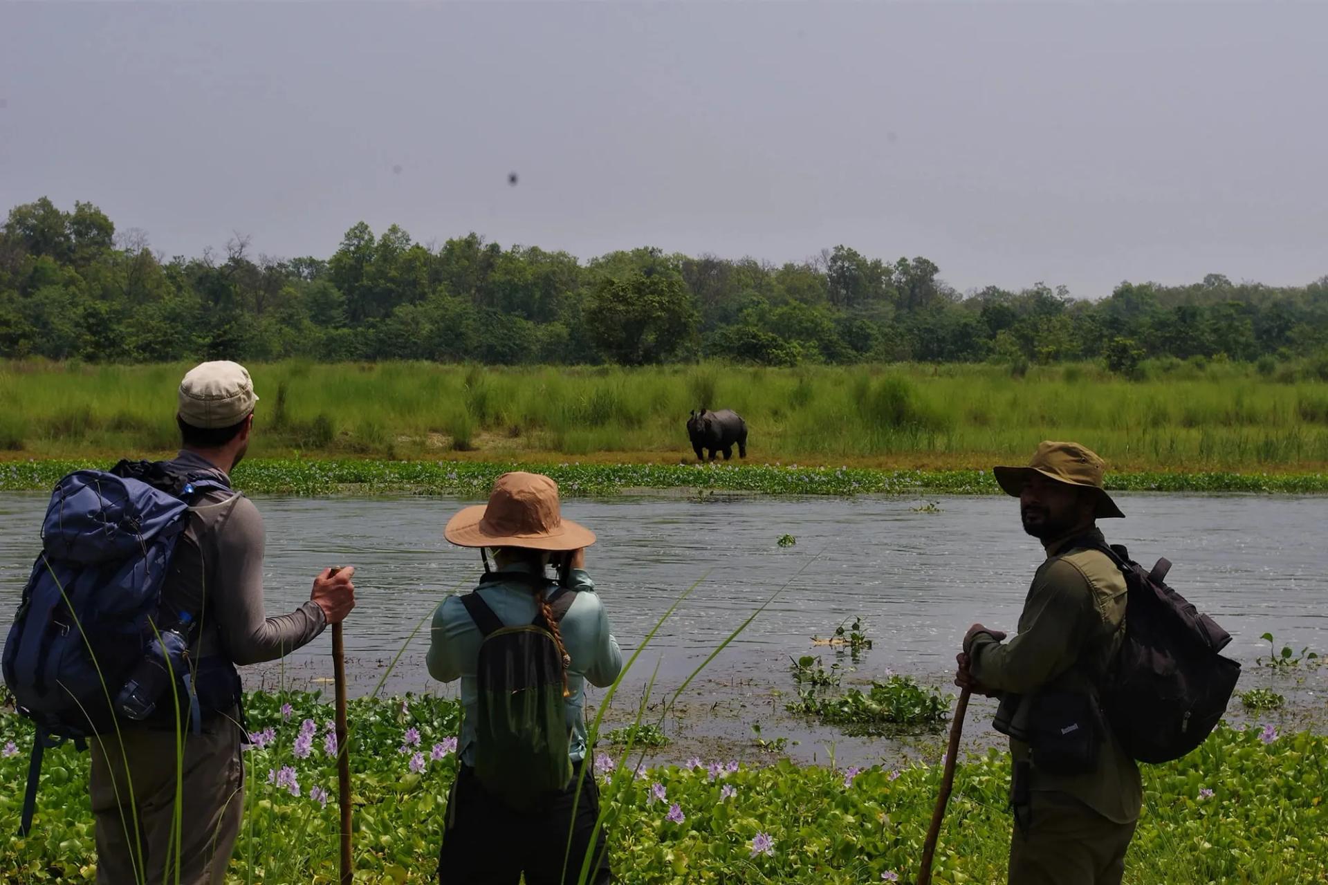 chitwan-jungle-walk_p0a602