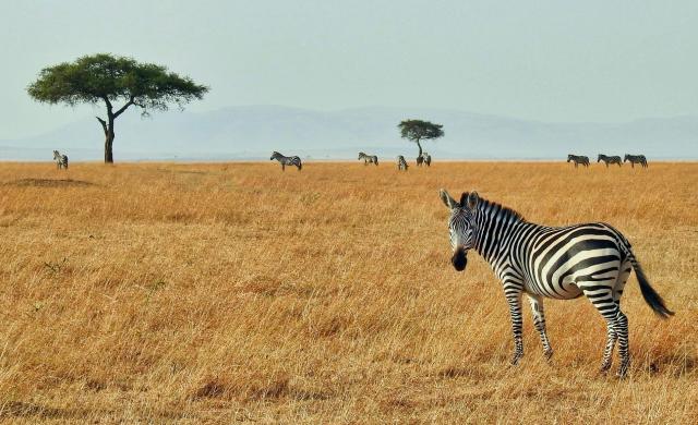 africa_aoxgvz
