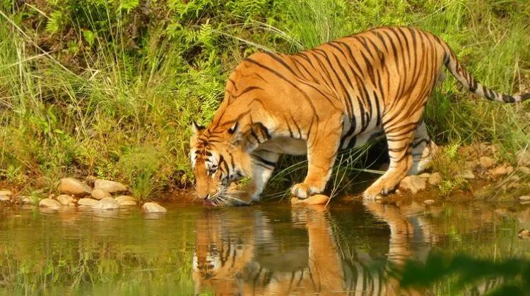 bardia-national-park-1_eeovtl