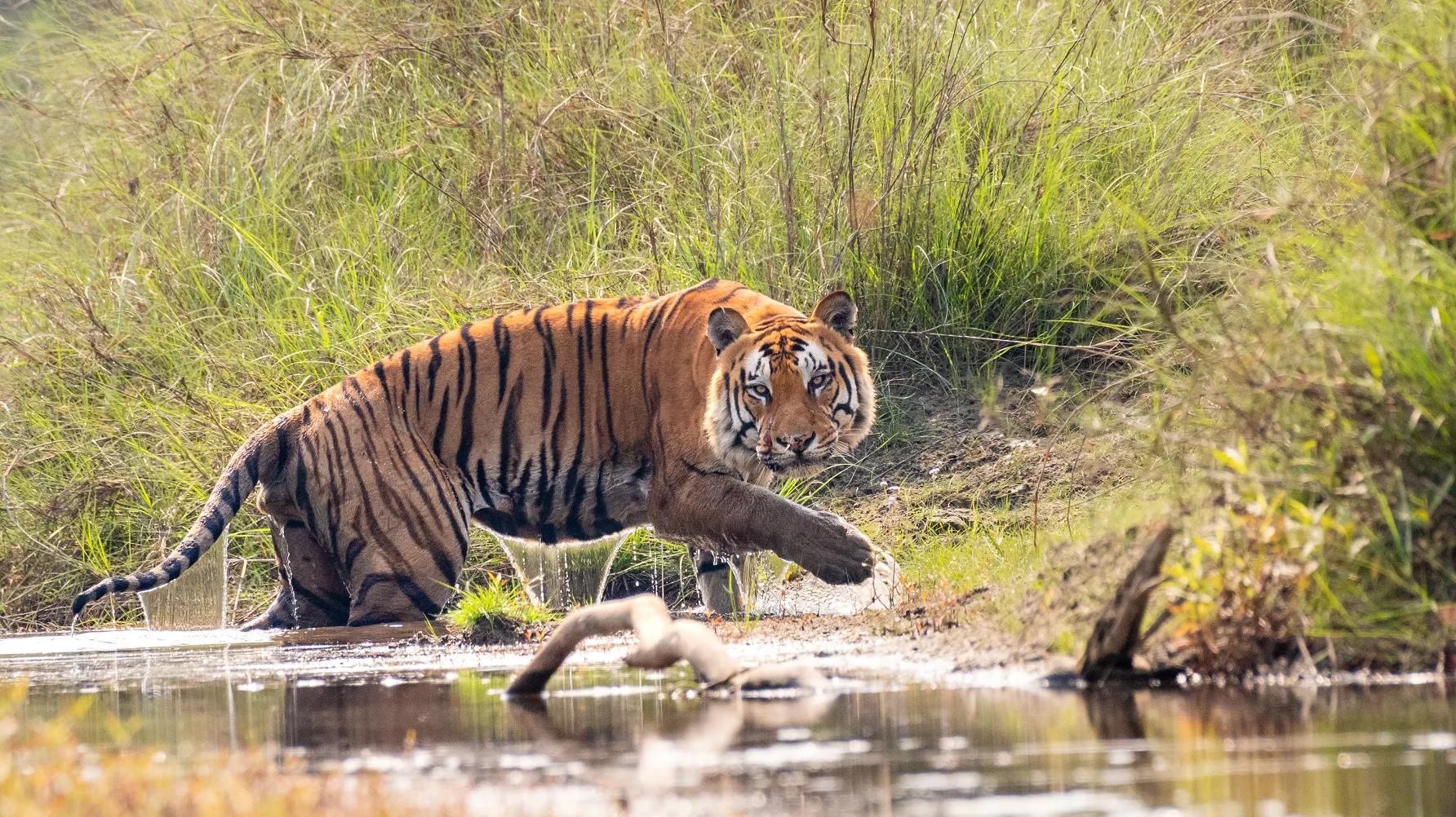 bardia-national-park-3_pemrkm