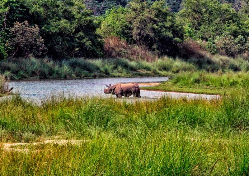 bardia-national-park-4_tmrvrg