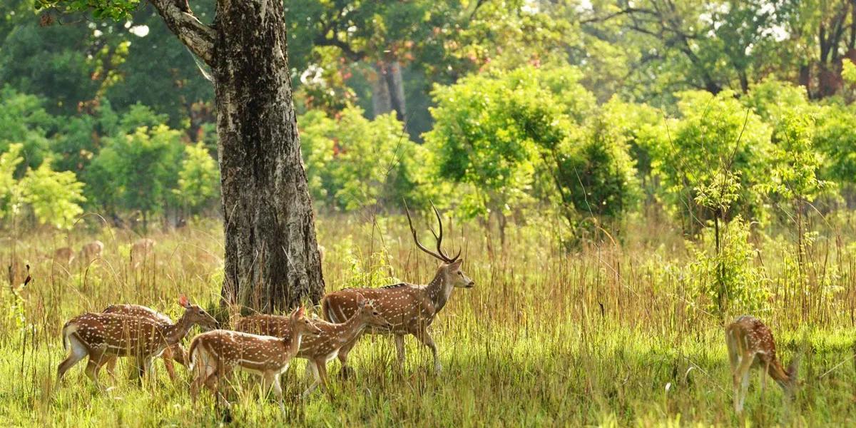bardia-national-park-5_dgrs7g