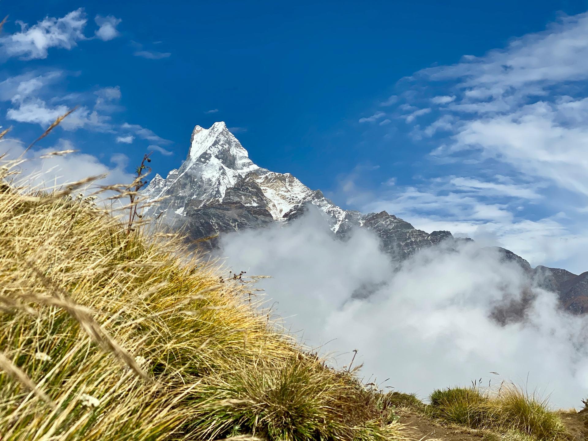 Mardi.himal.alpine