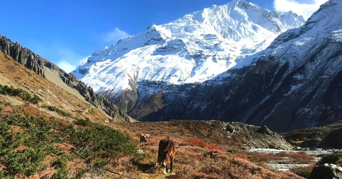 tilicho-base-camp-1_xbe27b