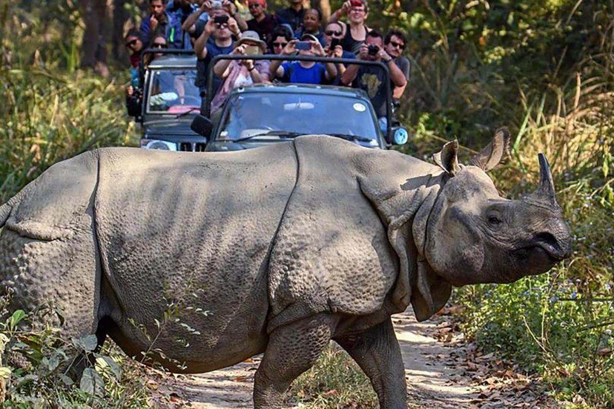 chitwan-jungle-safari-jeep_g5unmg