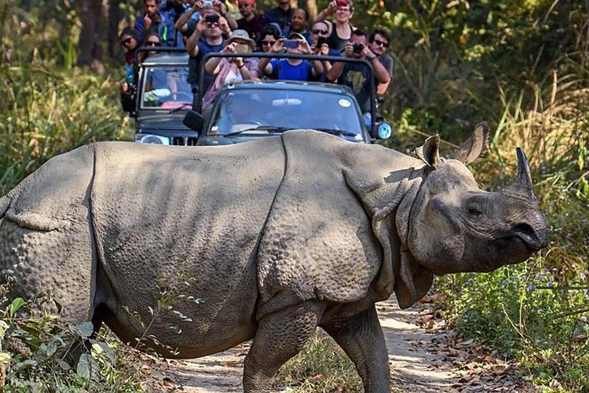 chitwan-jungle-safari-jeep_g5unmg