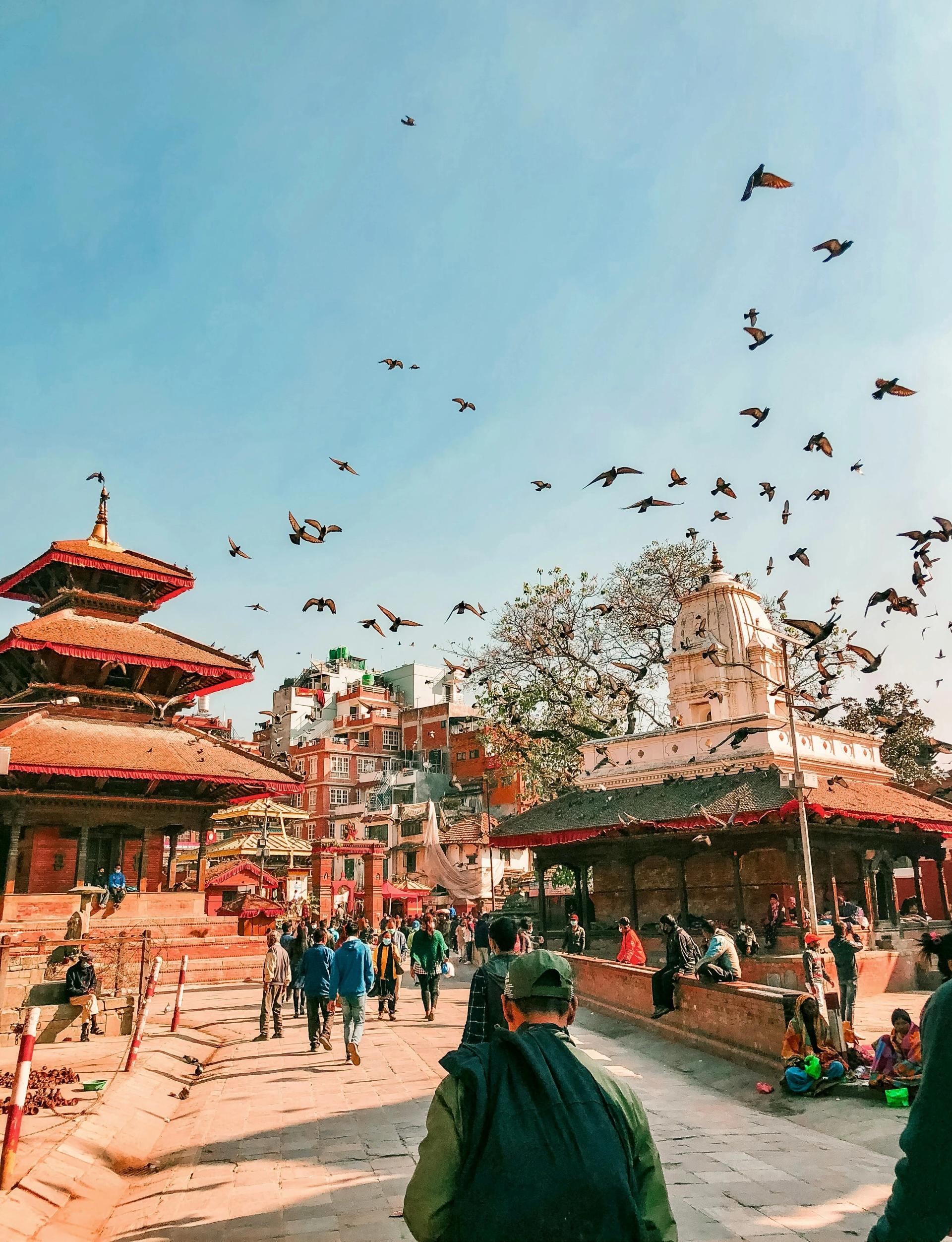 prabin-basnet-dEvAYkt19a0-unsplash