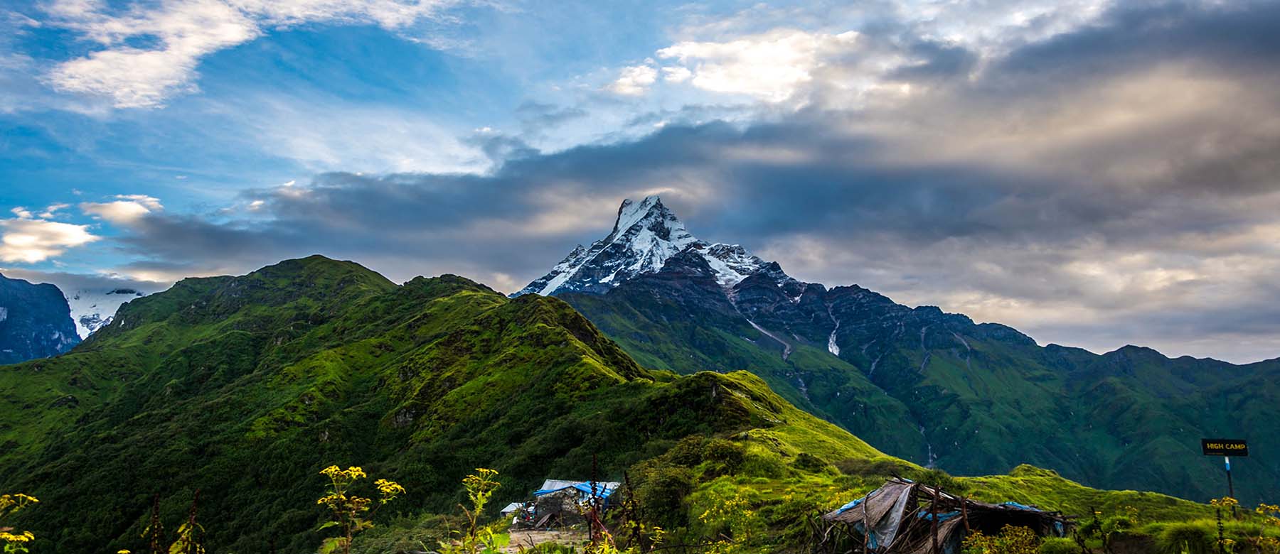 Mardi Himal Trek - Full Guide | Alpine Club of Himalaya