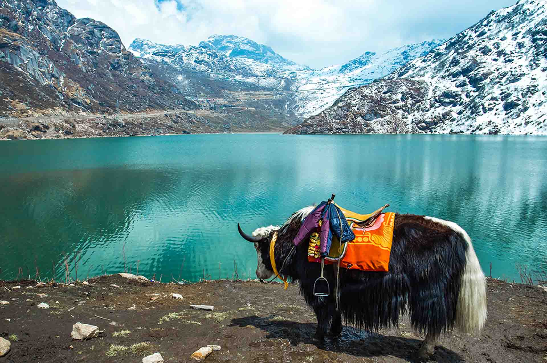 Trek in Sikkim | Alpine Club of Himalaya