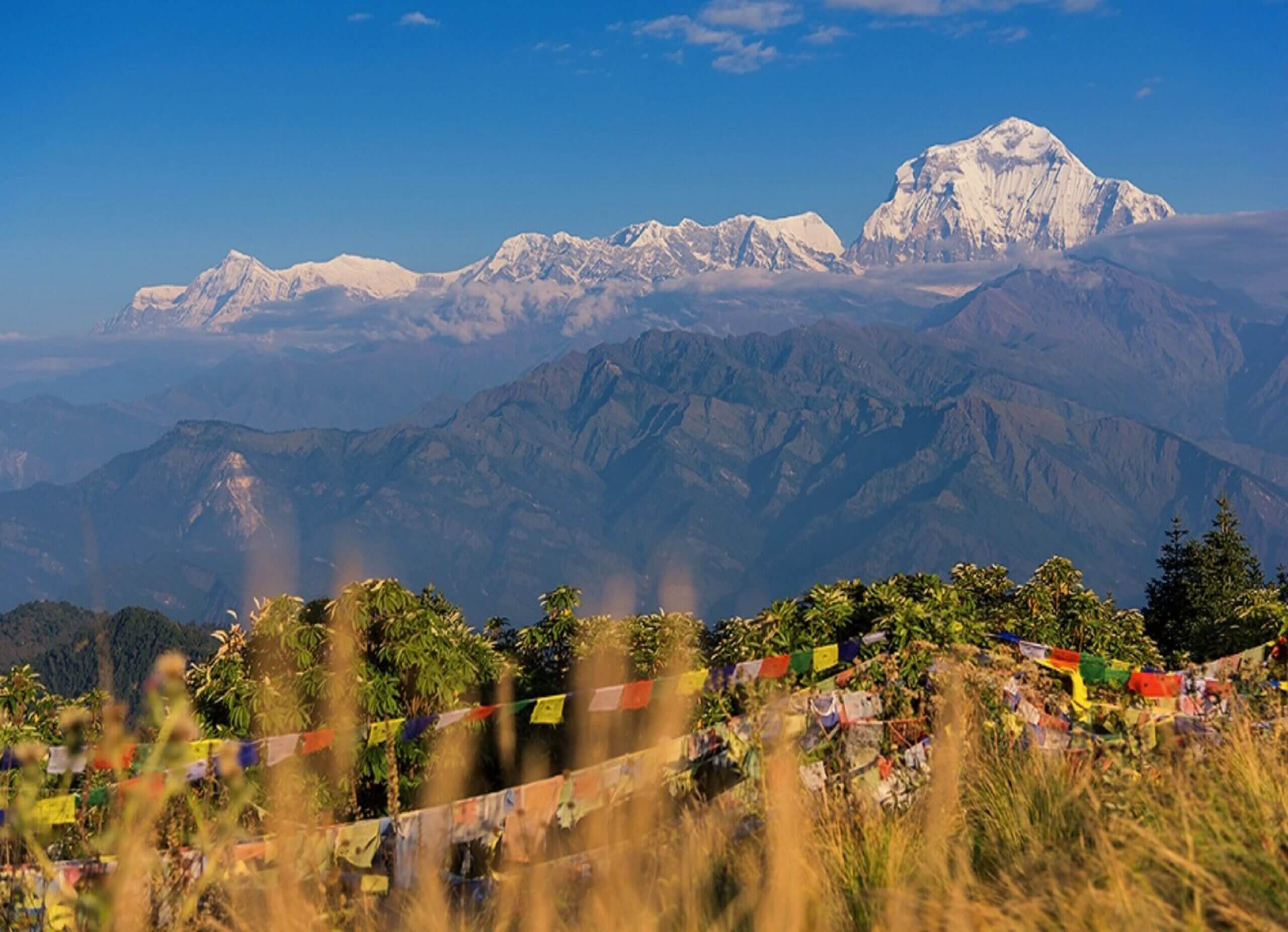 Mountain Trekking and Wildlife Tour Nepal. 