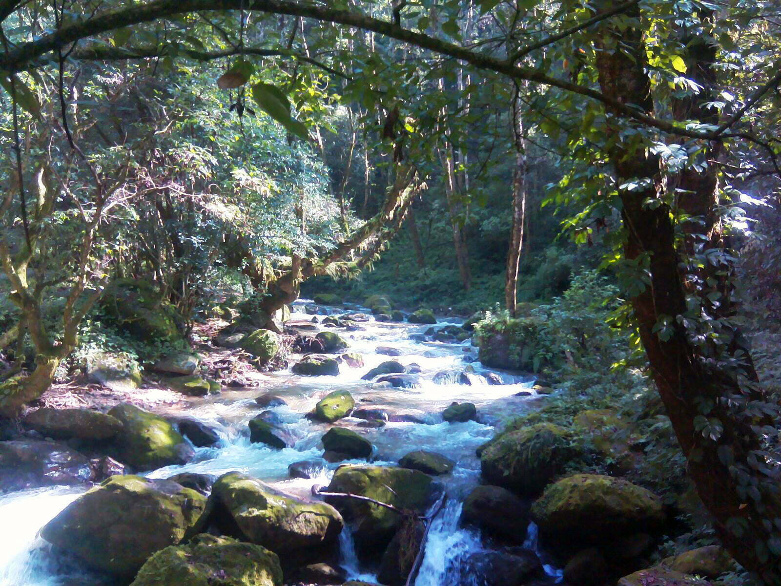 shivapuri national park hike